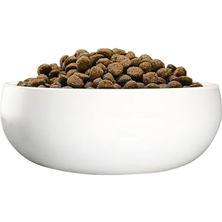 Green Petfood Sensitive Insects und Rice, Trockenfutter für sensible Hunde mit leicht verdaulichem Insektenprotein, 900 g – Bild 11