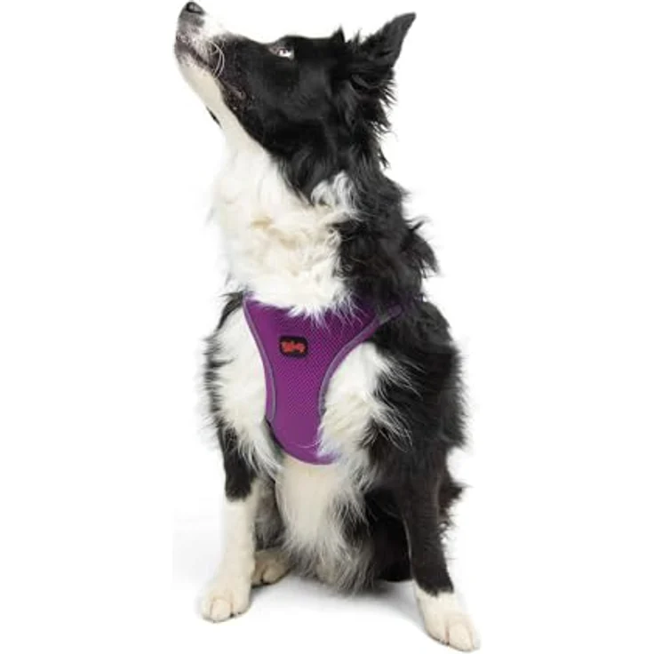 Tailpetz Air-Mesh Brustgeschirr für kleine und mittelgroße Katzen und Hunde – Weich, Atmungsaktiv, Strapazierfähig, Violett, XL (Brustumfang 66–70cm) – Bild 1