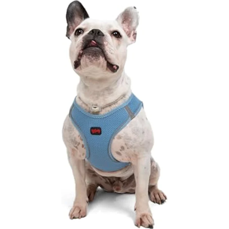 Tailpetz Air-Mesh Brustgeschirr für kleine und mittelgroße Katzen und Hunde – Weich, Atmungsaktiv, Strapazierfähig, Blau, L (Brustumfang 59–63,5 cm) – Bild 1