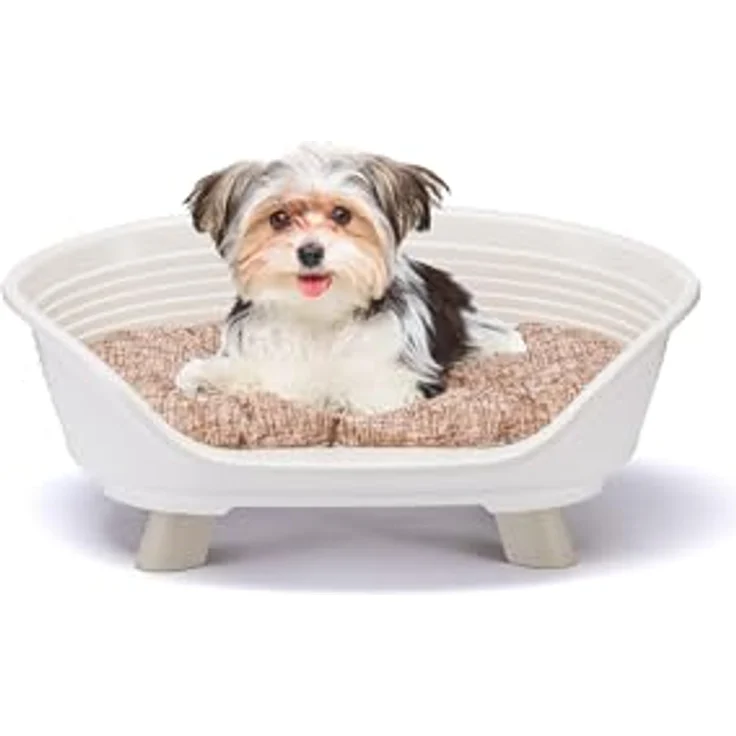Ferplast Throne Hundebett & Katzenbett, erhöhtes Hundebett Klein aus recyceltem Kunststoff, waschbar, atmungsaktiv & rutschfest, 61,5 x 45 x h 26 cm, Weiß – Bild 1