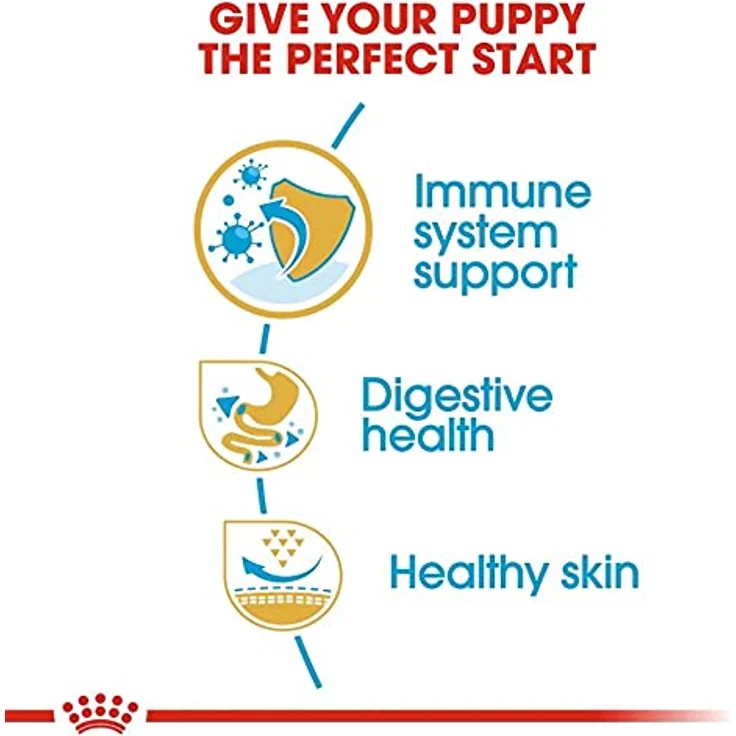 ROYAL CANIN Französische Bulldogge Puppy 10 kg, Hundefutter für Welpen mit speziellen Kroketten und Antioxidanzien für gesunde Haut und Verdauung – Bild 4