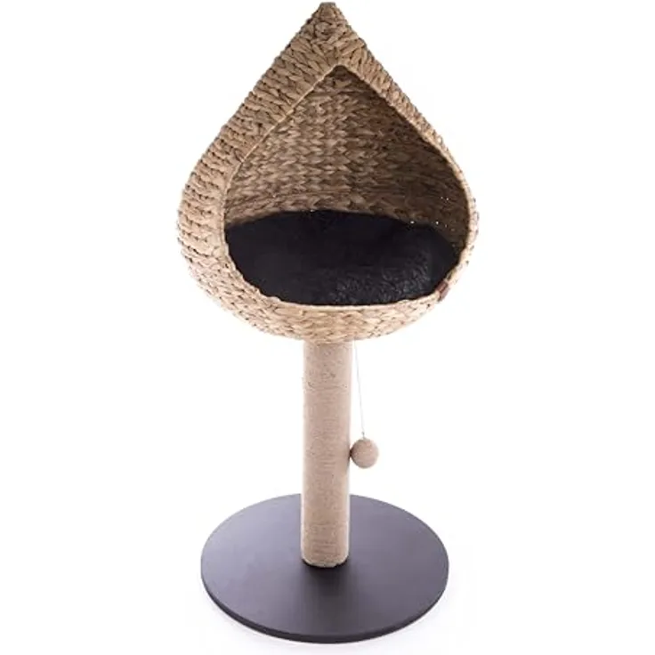 Martin Krabpaal Vietnam Met Mand Druppel Waterhyacint (50 cm), Katzenbaum