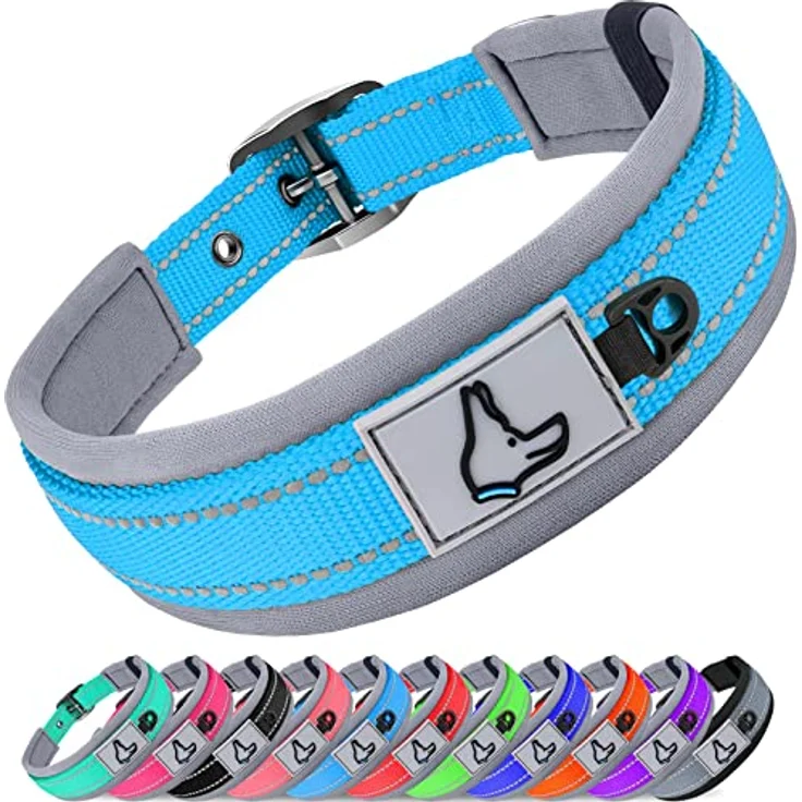 Joytale Hundehalsband, Gepolstertes Neoprenhalsband für kleine Hunde, Reflektierende Nähte, Baby Blau – Bild 1