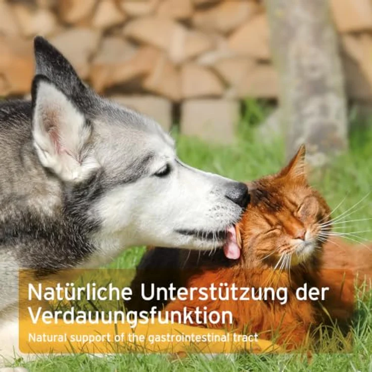 AniForte Ulmenrinde Pulver 100 g, 100% amerikanische Rotulmenrinde zur Unterstützung von Magen und Darm bei Hund und Katze – Bild 6