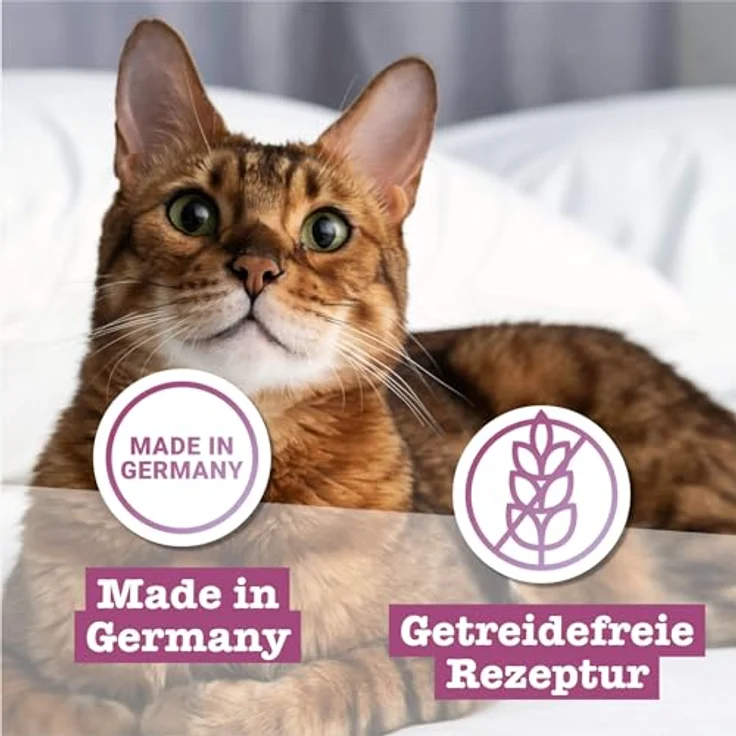 catz finefood Feinkost Katzenfutter nass Multipack 2, 6 x 200 g Dosen mit Huhn, Thunfisch, Rind, Rotbarsch, Lamm, Garnelen, Wild - hohes Fleischanteil, ohne künstliche Zusätze, made in Germany – Bild 5