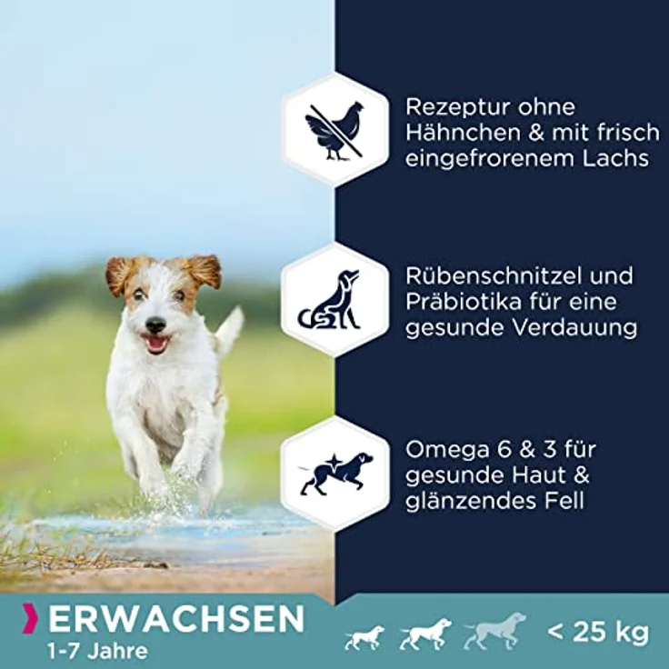 Eukanuba Hundefutter getreidefrei mit Fisch für kleine und mittelgroße Rassen, Trockenfutter für ausgewachsene Hunde, 12 kg - proteinreich mit Lachs, glutenfreie Süßkartoffeln, DentaDefense Zahnpflegesystem – Bild 4