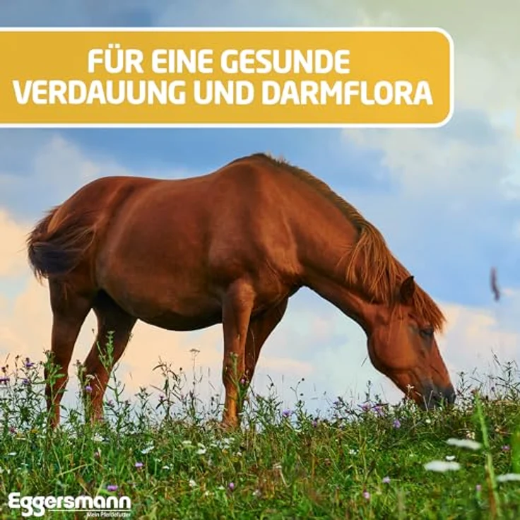 Eggersmann Mein Pferdefutter EMH Mash 15 kg, Ergänzungsfuttermittel zur Unterstützung der Darmflora & Verdauung, mit Omega-3- & Omega-6-Fettsäuren – Bild 4
