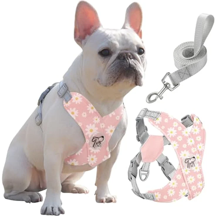 Pawaboo X-Rahmen Hundegeschirr mit Hundeleine Set, verstellbares Anti-Zug und Anti-Erstickung Brustgeschirr für kleine und mittelgroße Hunde,  L, rosa Gänseblume – Bild 1