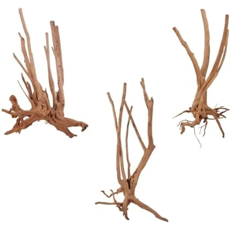Aquaone Stump Wurzel M, Aquarium-Wurzel 60-80 cm für Aquascaping, naturbelassen