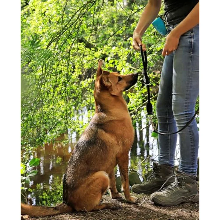 lionto Hundehalsband Nylon, Zugstopp-Halsband für Hundetraining, 60 cm lang, 1 cm dick, schwarz, Lederimitat mit Metallring und stufenlosem Schieber zur Anpassung – Bild 2