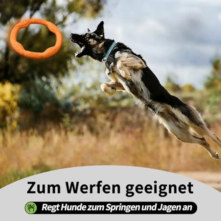 LaRoo Hund Frisbee Fitness Ring, unzerstörbare Wasserspielzeug Float Disk für interaktives Training, Durchmesser 30 cm, für mittelgroße und kleine Hunde – Bild 3