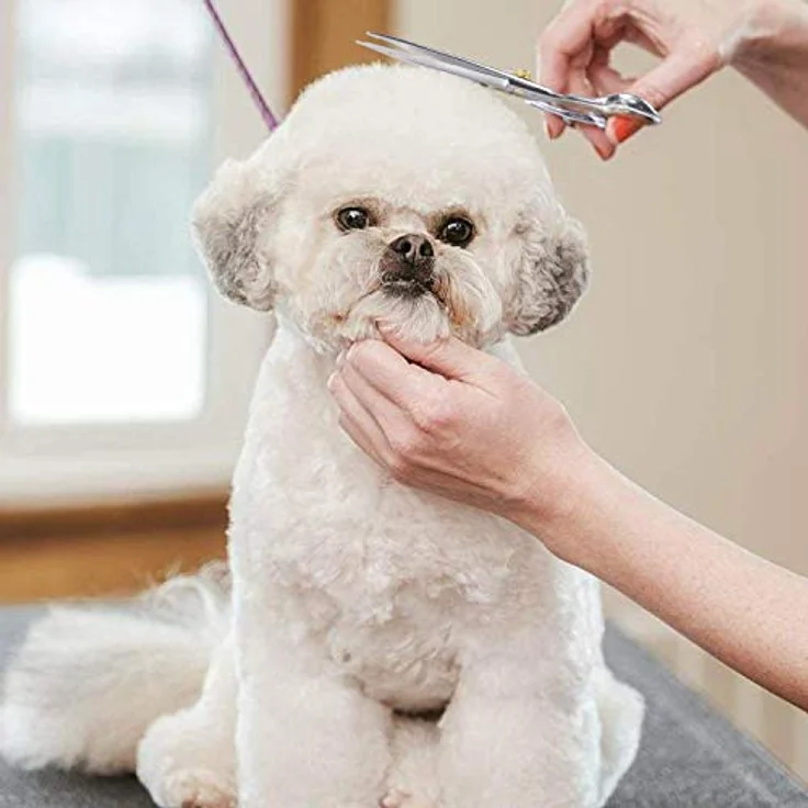 Dream Reach Professionelle Fellschere, 7-Zoll gerade Hundepflegeschere aus 440C japanischem Edelstahl, leise und komfortabel für Hunde und Katzen – Bild 5
