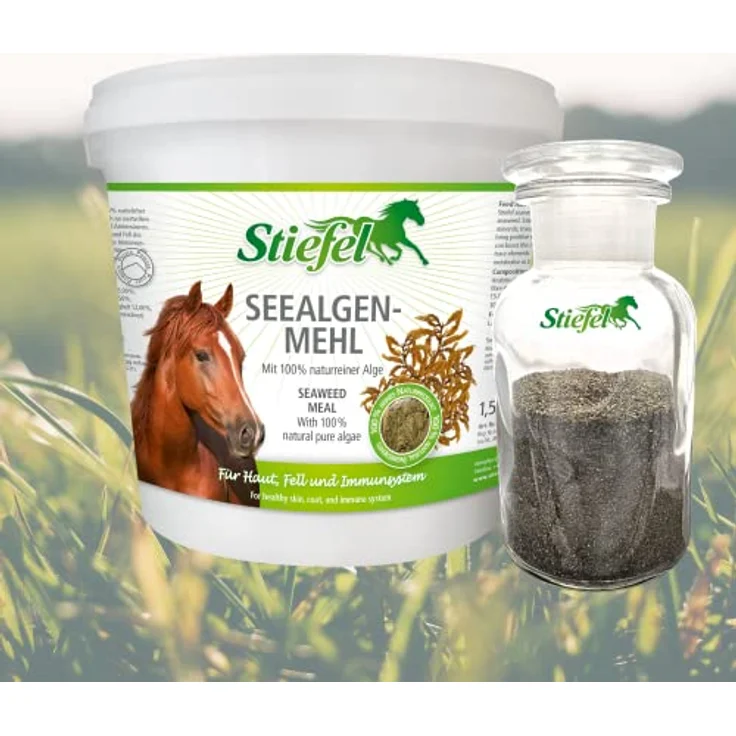 Stiefel Seealgenmehl für Pferde, 100% naturbelassene Seealgen, unterstützt Haut & Fell sowie das Immunsystem, 1,5 kg – Bild 2