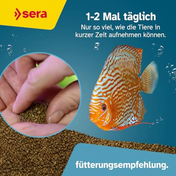 sera Discus Granules 1 L, Hauptfutter für Diskus, langsam sinkendes Softgranulat mit hochwertigem Protein und prebiotischer Wirkung – Bild 4