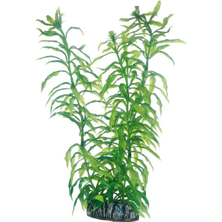 HOBBY Aquariendeko Heteranthera, künstliche Aquariumpflanze auf Felsen, 25 cm, naturgetreu beweglich