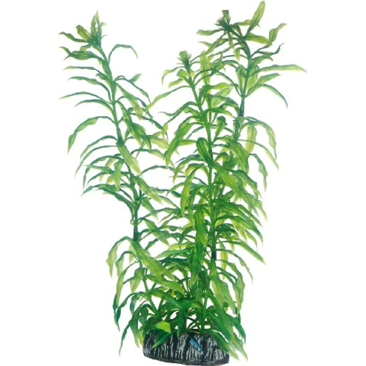 HOBBY Aquariendeko Heteranthera, künstliche Aquariumpflanze auf Felsen, 25 cm, naturgetreu beweglich – Bild 1