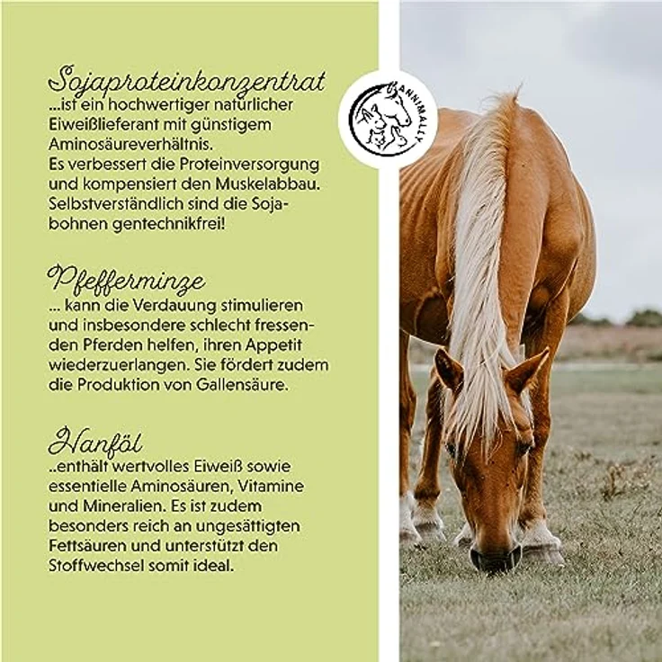 Annimally Weight Gainer Pulver für Pferde, Aufbaufutter mit Sojaprotein, Hanföl, Bockshornklee, Luzerne & Pfefferminze, vegan, ohne Zuckerzusatz, für Gewichts- und Muskelaufbau – Bild 5