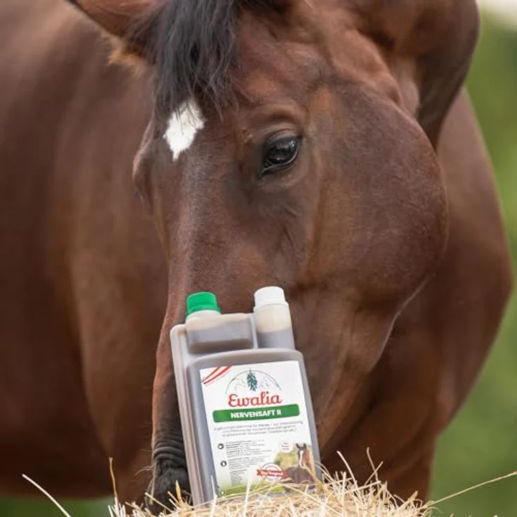 Ewalia EWALIA Nervensaft II, 1 Liter für konzentrierte Leistung bei Pferden, natürliche Formel mit Gänsefingerkraut und Lavendel, ideal für Wettkämpfe und Training – Bild 4
