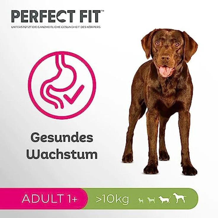 Perfect Fit Adult 1+ Trockenfutter für mittelgroße und große Hunde, 6kg, reich an Huhn mit verbesserter Kotqualität – Bild 4
