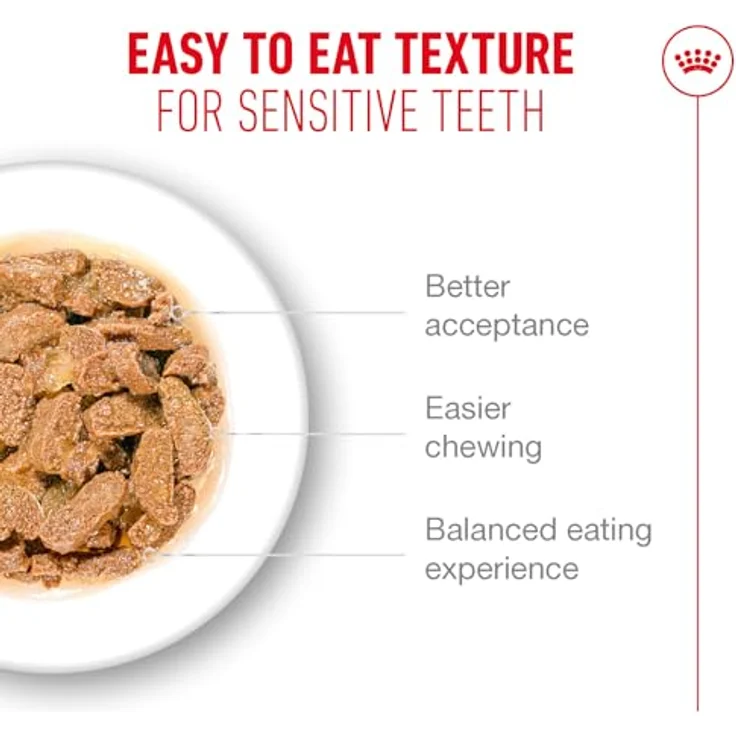 ROYAL CANIN AGEING 11+ Jelly, Nassfutter für Senior Katzen ab 11 Jahren, 12 x 85 g, mit HealthyAge7™ Complex, unterstützt Gelenk-, Haut- und Nierenfunktion – Bild 5