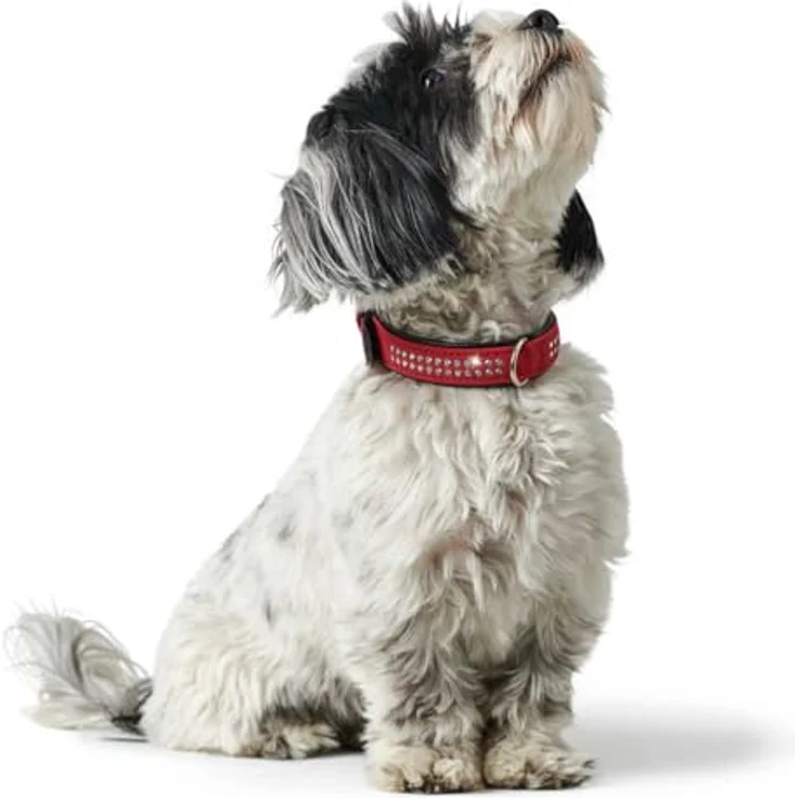 Hunter Hunde-Halsband Softie Deluxe rot-schwarz XS – Bild 4