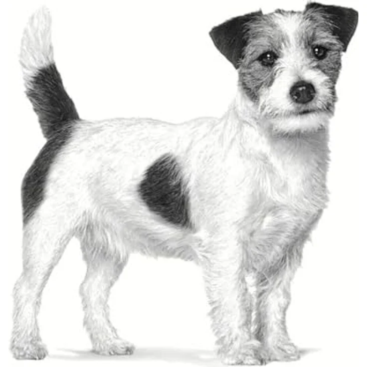 Royal Canin Veterinary Anallergenic Small Dogs, 1,5 kg, Diät-Alleinfuttermittel zur Unterstützung bei Nährstoffintoleranzen für kleine Hunde – Bild 3