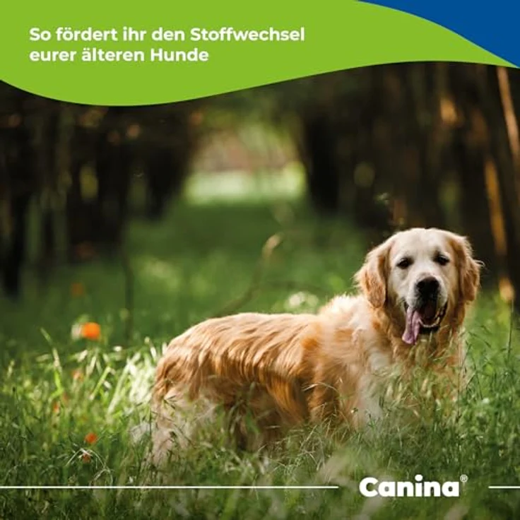 Canina Barfer's Best Senior, Vitalstoffmischung für alte Hunde, 180 g – Bild 5