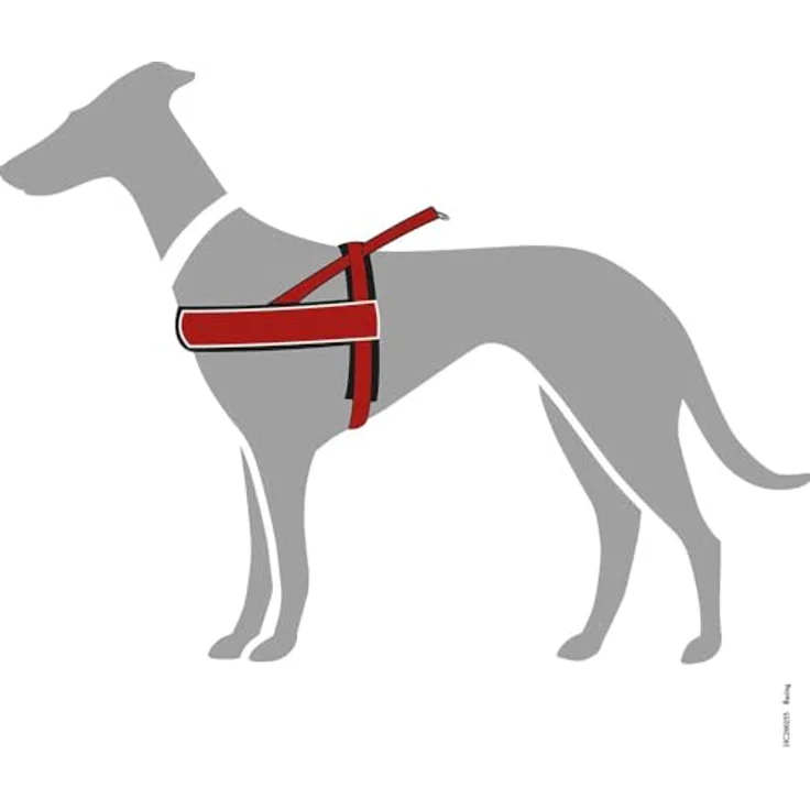 Hunter Harnas Norweger Racing Nylon Rood / Zwart Hundegeschirr und Leine – Bild 3