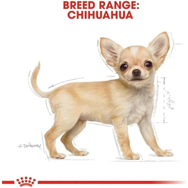 ROYAL CANIN Chihuahua Puppy, 1,5 kg Alleinfuttermittel für Chihuahua-Welpen bis 8 Monate, zur Unterstützung der Abwehrkräfte und Reduzierung von Stuhlgeruch – Bild 4