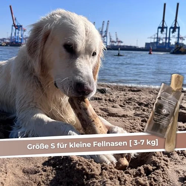 ZOYS Kaffeeholz für Hunde, Natürlicher Kauknochen für Zahnreinigung & Zahngesundheit, Größe S, langlebig & risikoarm – Bild 3