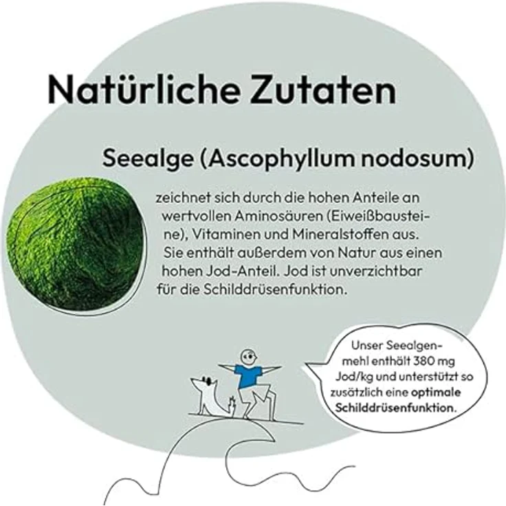 Grau Seealgenmehl 400g, natürliches Ergänzungsfutter für Hunde und Katzen, unterstützt glänzendes Fell und rassespezifische Fellfarbe – Bild 4