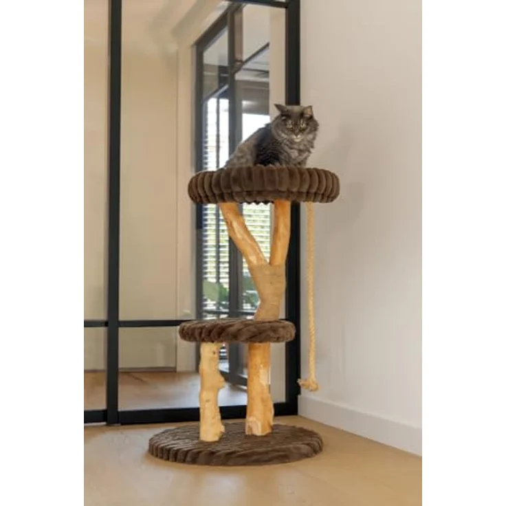 Designed by Lotte Kratzbaum Reya, aus Dattel- und Birnbaumholz für Katzen bis 10 kg, braun – Bild 3