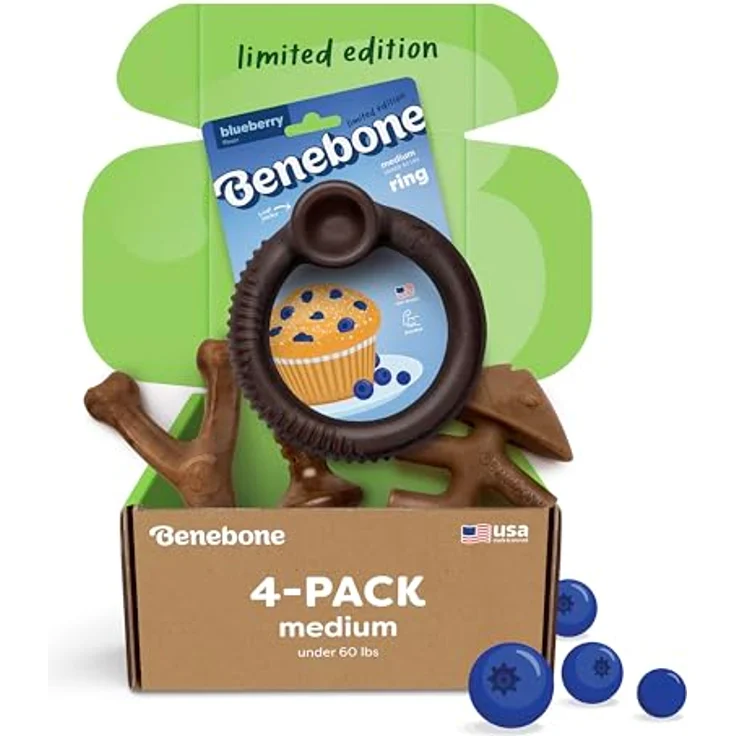 Benebone Blueberry Hundespielzeug, mittelgroß, 4er-Pack für aggressive Kauer, mit echtem Heidelbeergeschmack, hergestellt in den USA – Bild 1