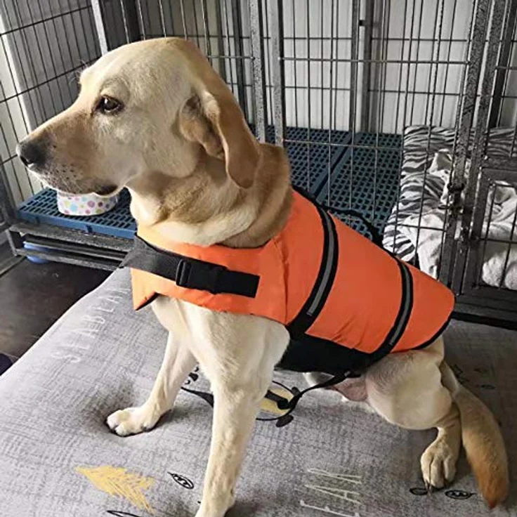 Izefia Hund Schwimmweste, Sicherheitsmantel für kleine Hunde, 30-42 cm Brustumfang, orange, XS mit Griff und verstellbaren Trägern – Bild 5