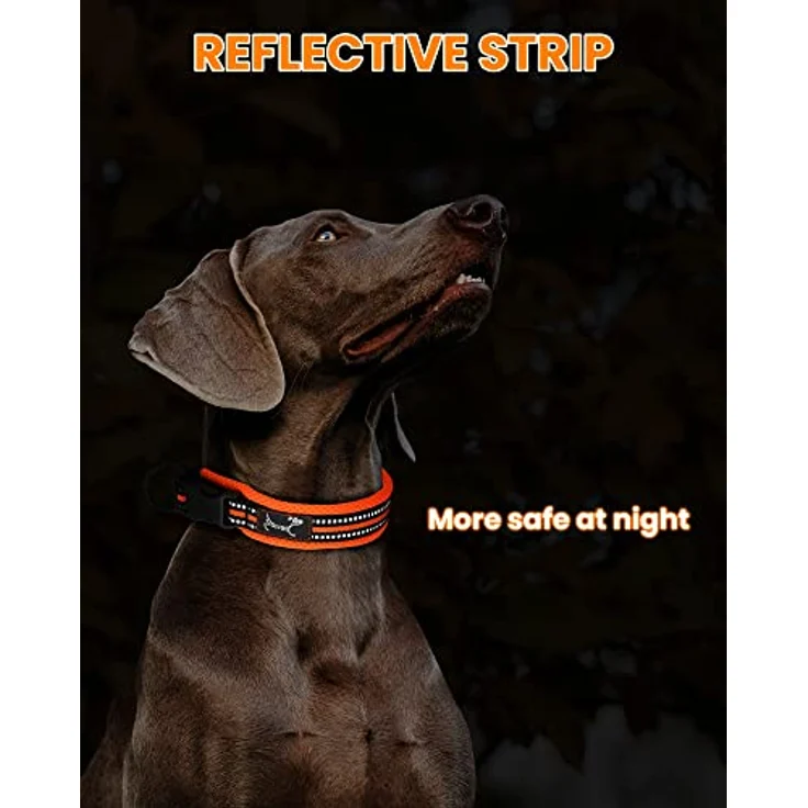 PETTOM Hundehalsband, Verstellbares Nylonhalsband mit Atmungsaktivem und Reflektierendem Design, Orange XS – Bild 5