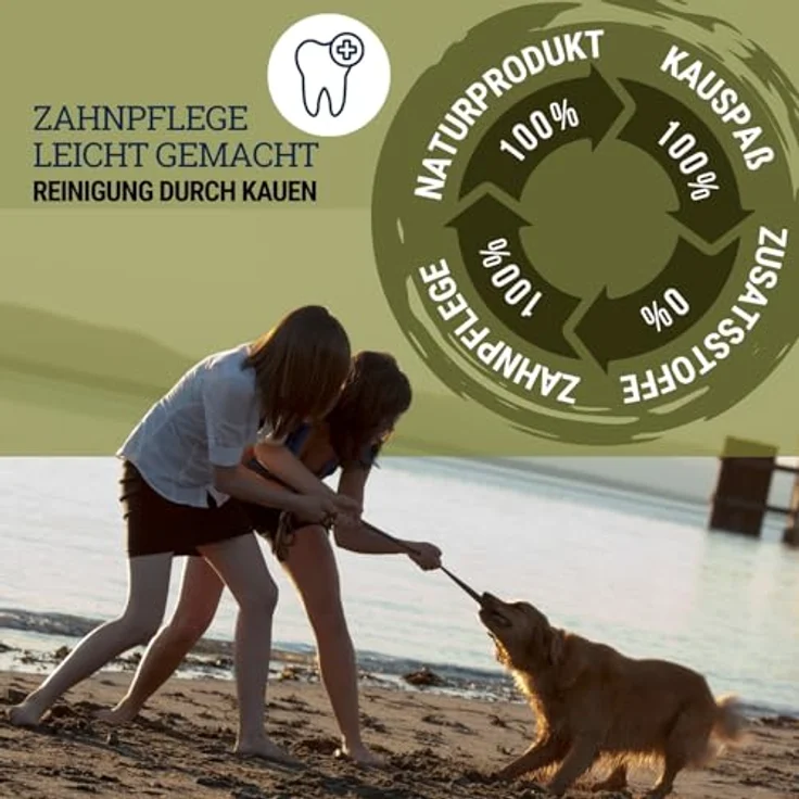 Nosli Natural Toys Dental Bone, Gummi Kauknochen für Hunde, aus Naturkautschuk ohne Farbstoffe, Größe M mit Noppen zur Zahnreinigung – Bild 4