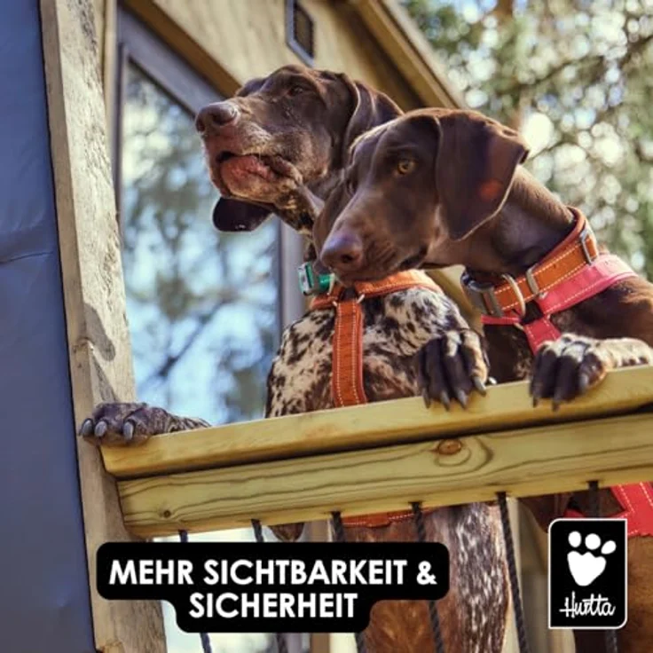 Hurtta Casual Hundehalsband ECO nachhaltigem Hundehalsband (25-35 cm, Cinnamon) – Bild 6