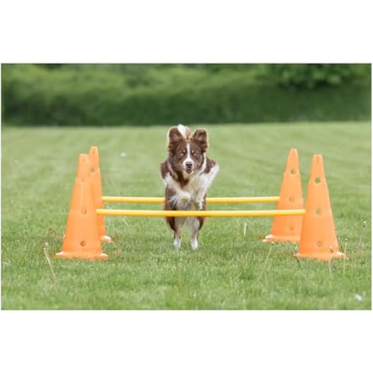 Trixie 32091 Dog Activity Hindernisse, Agility-Set mit 3 variablen Hindernissen, ø 23 × 30 cm/78 cm, robust in orange/gelb – Bild 2