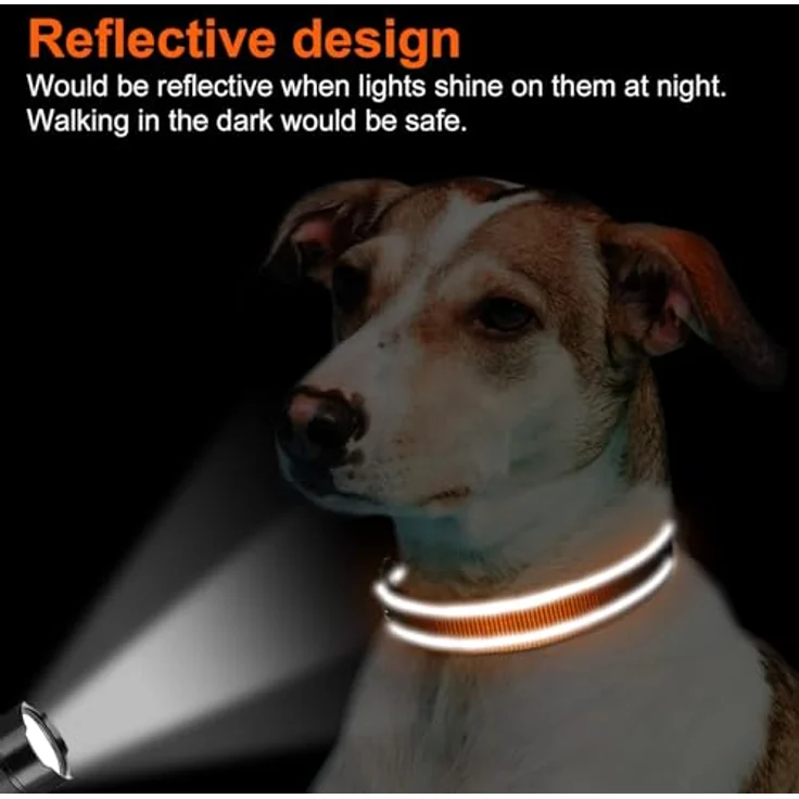 Joytale Hundehalsband M, Gepolstert aus Neopren Nylon, Verstellbar, Reflektierend, Orange – Bild 5