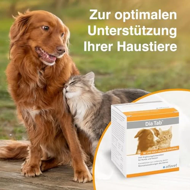 Alfavet Dia Tab, Ergänzungsfuttermittel für Hunde und Katzen bei Durchfall, 6 x 5,5g, hochakzeptable Kautabletten, ideal für unterwegs – Bild 5