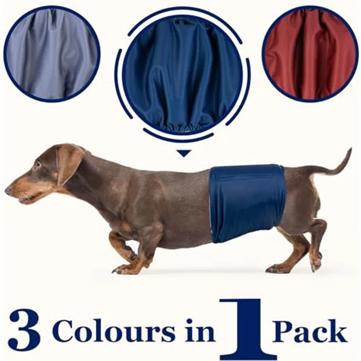 Dono Hundewindeln für Rüden, Wiederverwendbare 3 Stück, Waschbar, super saugfähig, Größen XS bis XXL, Farben weinrot, marineblau, grau – Bild 4