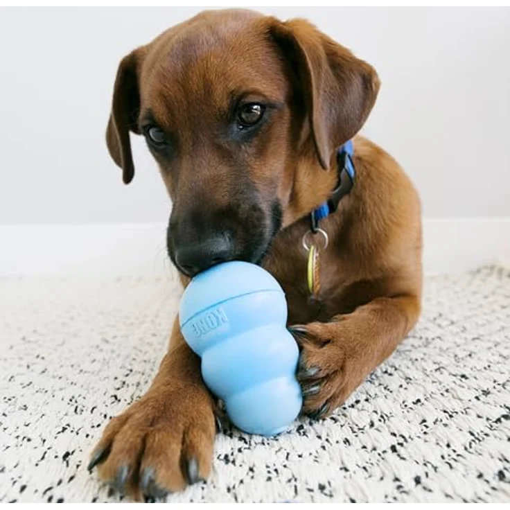 KONG Welpen-Snacks, natürliche Hundekekse mit Hühnerleber-Geschmack, für kleine/mittelgroße KONG-Spielzeuge, weizen-, mais- und soja-frei – Bild 4