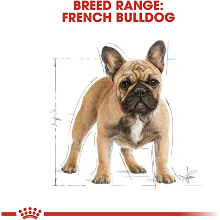 Royal Canin Französische Bulldogge Adult, Hundefutter für ausgewachsene Hunde, 9 kg, optimiert für Verdauung und Hautgesundheit – Bild 3