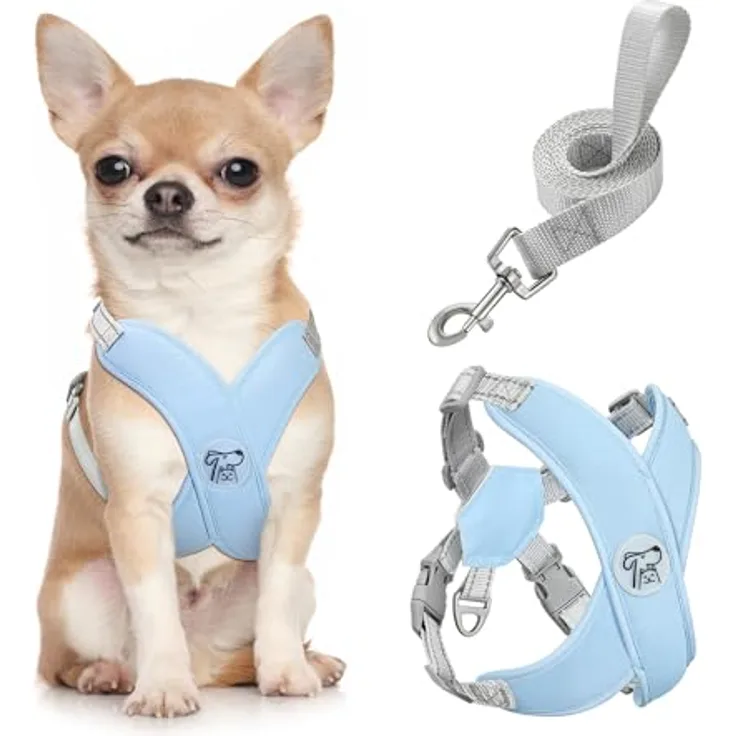 Pawaboo Hundegeschirr Set, X-Rahmen Verstellbares Anti-Zug Brustgeschirr mit Leine für Kleine und Mittelgroße Hunde & Welpen, Atmungsaktive Weste, Größe S, Blau