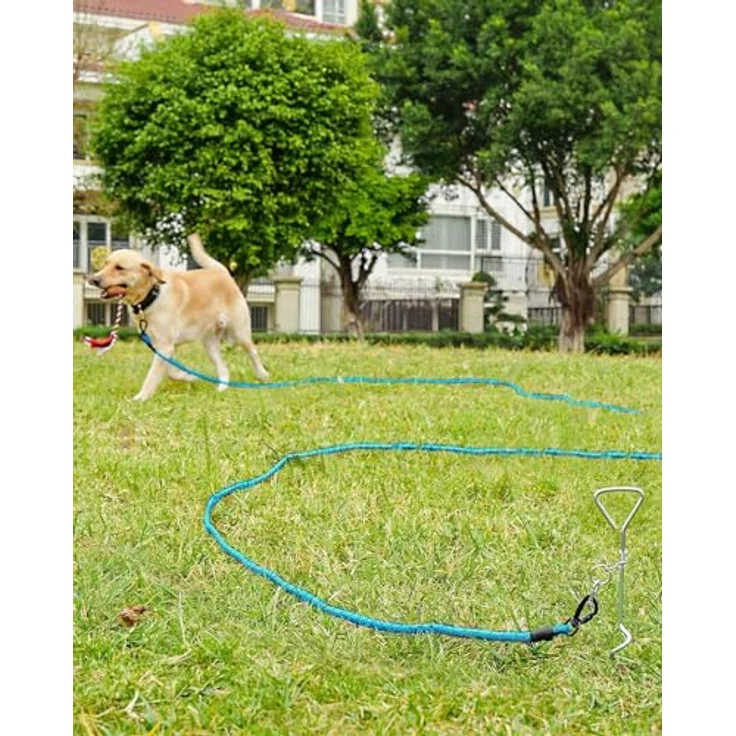 Joytale Schleppleine für Große Hunde, Reflektierende Hundeleine in Blau, 5m-20m lang mit gepolstertem Griff und abschließbarem Karabiner – Bild 2