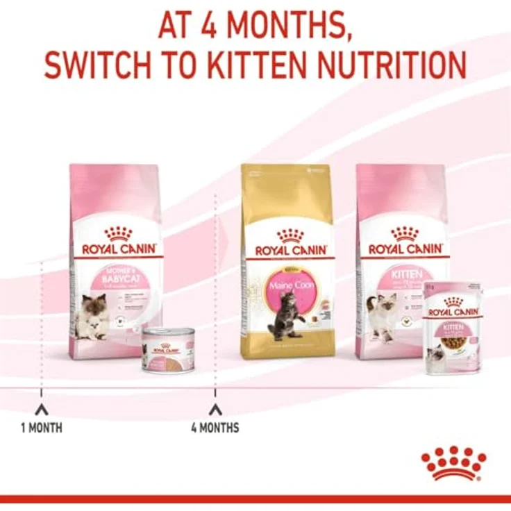 Royal Canin Mother & Babycat Mousse, 12 x 195 g, Alleinfuttermittel für Mutterkatzen und Welpen, unterstützt Abwehrkräfte und Gehirnentwicklung – Bild 3
