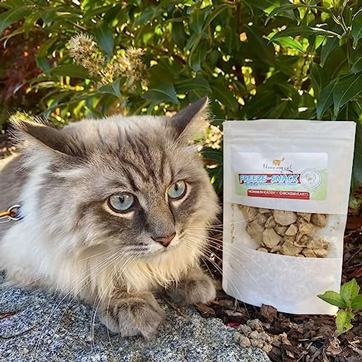 I Love My Cat Freeze-Snacks mit Hühnerherzen, gefriergetrocknet, kohlenhydratarm, ohne künstliche Zusatzstoffe, 25 g – Bild 5
