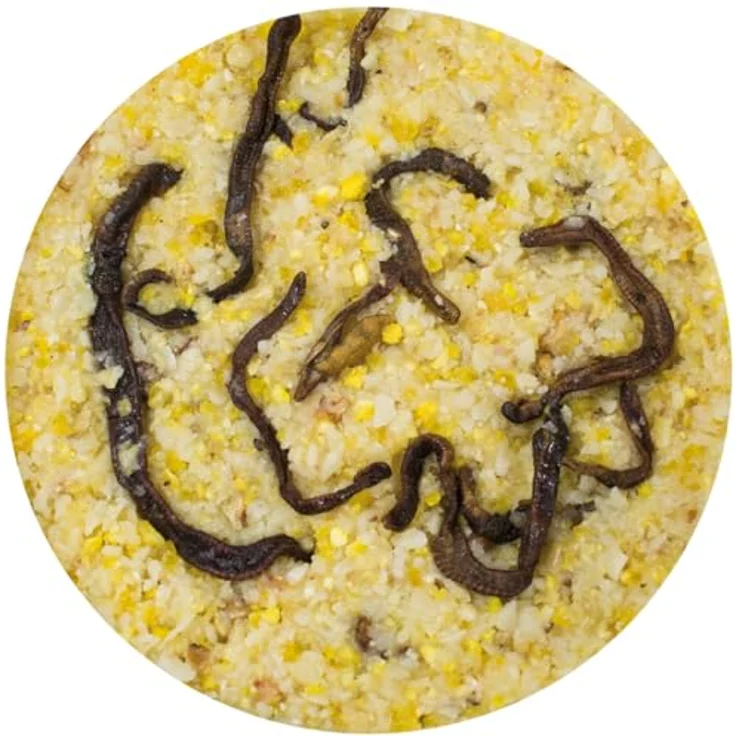 JR FARM Garden PBar Erdnussbutter mit Regenwürmern, 350g - naturnahe Vogelfutterrolle, schalenfrei, proteinreich – Bild 3