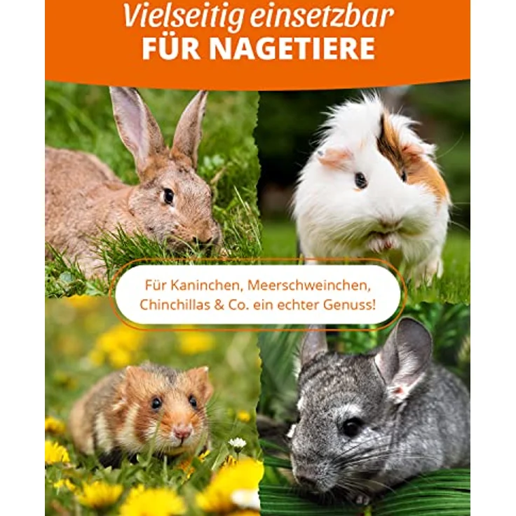 petifool Gemüsefarm 500g - Ergänzungsfutter für Nager, ohne künstliche Zusätze, 100% naturbelassen, frei von Getreide, artgerecht für Kaninchen, Meerschweinchen, Hamster und Chinchillas – Bild 3