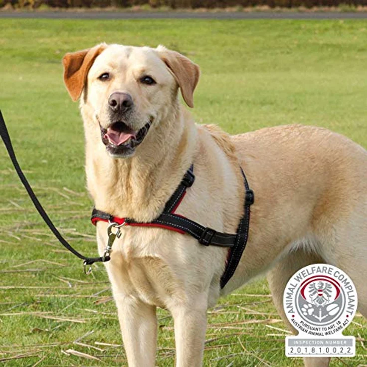 TRIXIE, Lead'n'Walk Soft Erziehungsgeschirr schwarz L-XL – Bild 3